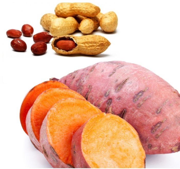 arapika-fistikia-sweet potato-agroparago